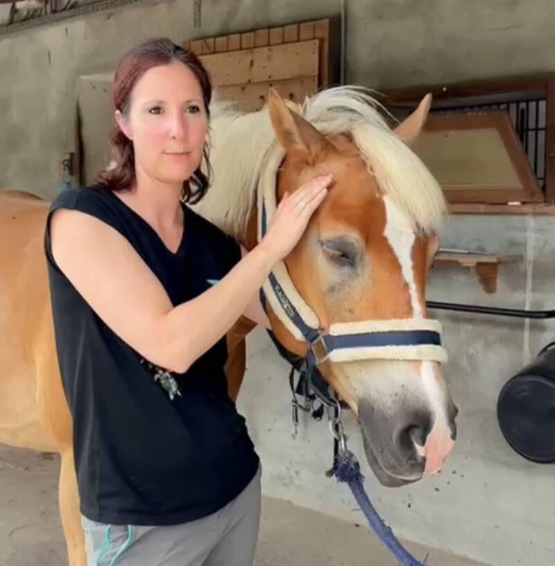 Points MTC sur le cheval