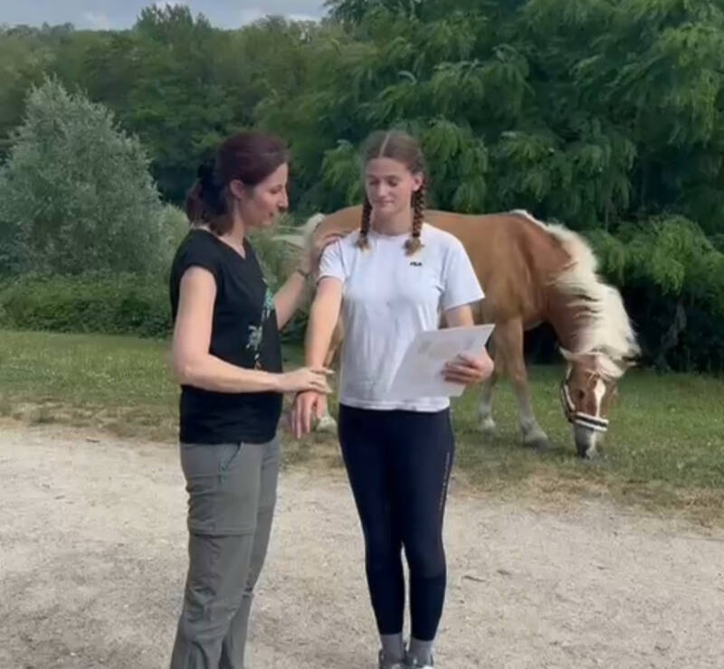 Test musculaire chez l'humain