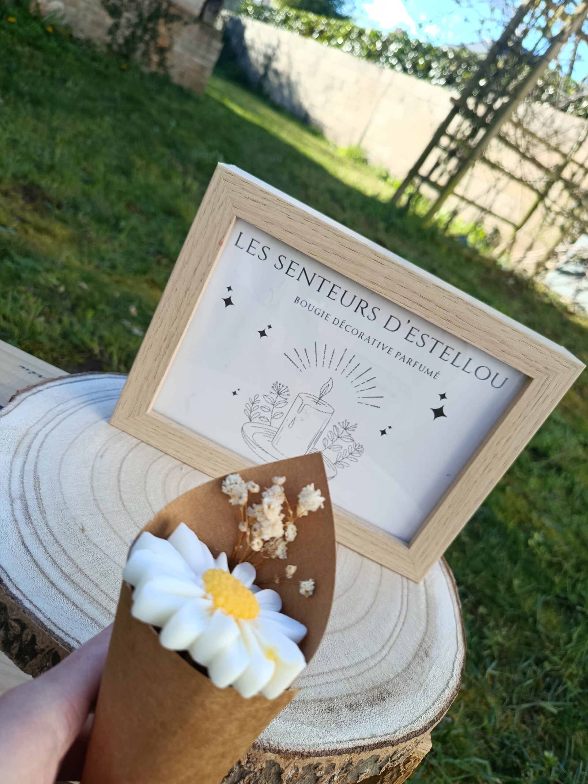 Fondant "marguerite éternelle "-fleur de cerisier