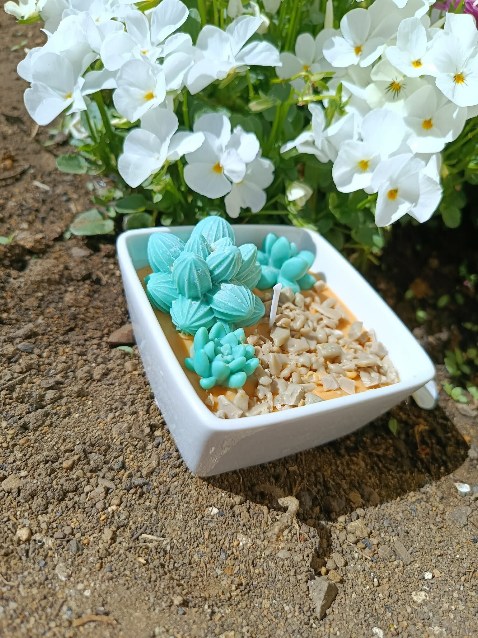 Bougie jardin du désert 140 g- parfum fleur de coton