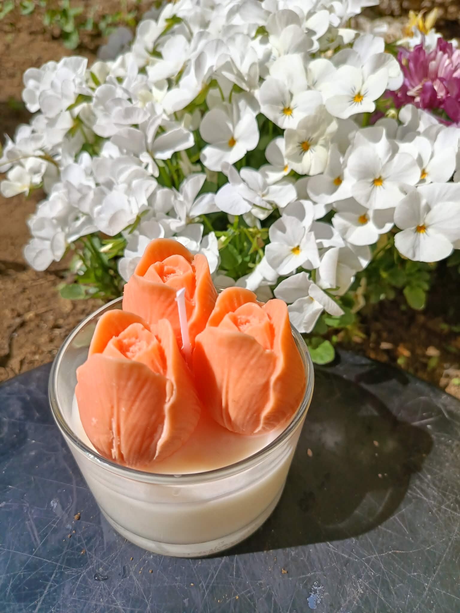 Bougie Souffle de tulipe 170 g