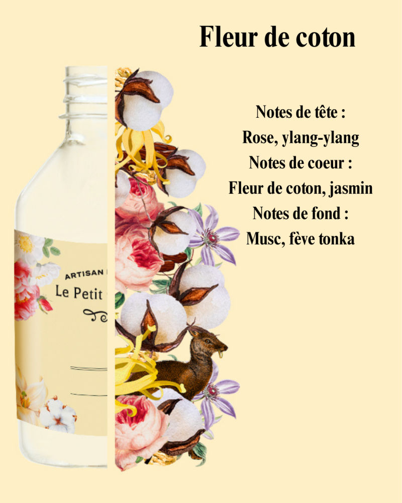 notes-de-t-te-rose-menthe-accord-aromatique-notes-de-coeur-fleur-de-cerisier-p-che-jasmin-notes-de-fond-musc-accord-bois-vanille-coconut-1-standard.png