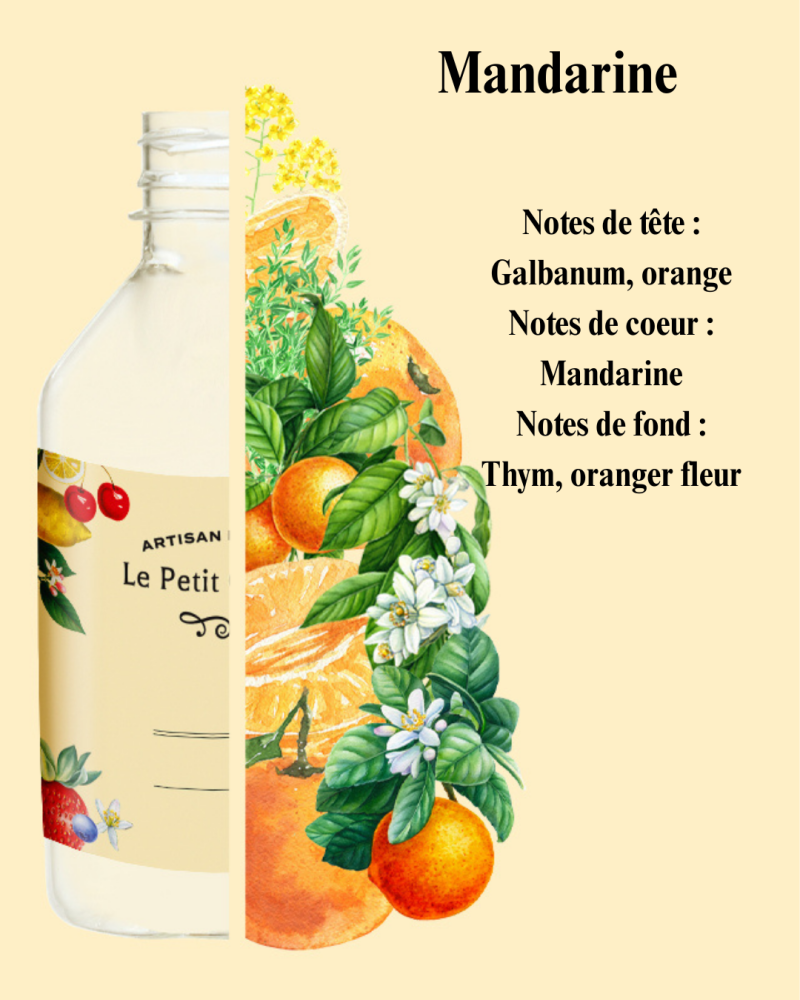 notes-de-t-te-rose-menthe-accord-aromatique-notes-de-coeur-fleur-de-cerisier-p-che-jasmin-notes-de-fond-musc-accord-bois-vanille-coconut-2-standard.png