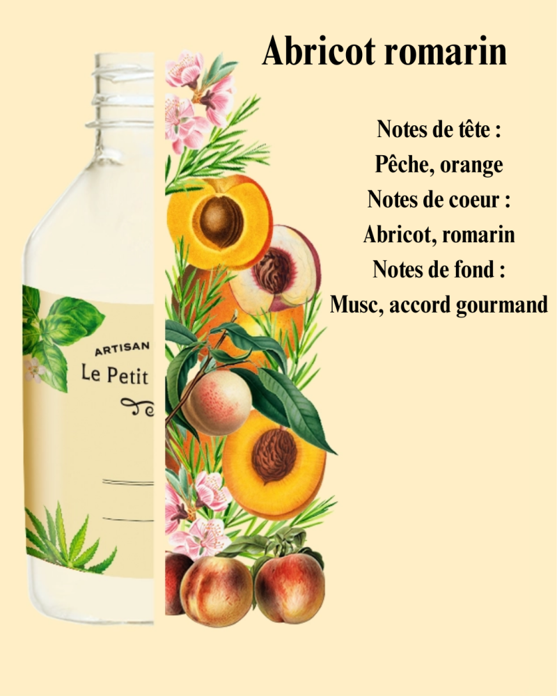 notes-de-t-te-rose-menthe-accord-aromatique-notes-de-coeur-fleur-de-cerisier-p-che-jasmin-notes-de-fond-musc-accord-bois-vanille-coconut-3-standard.png