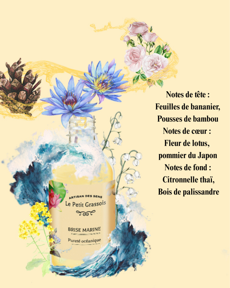 notes-de-t-te-tagete-criste-marine-lotus-notes-de-coeur-accord-marin-muguet-rose-notes-de-fond-c-dre-musc-santal-1-standard-oqh30m.png