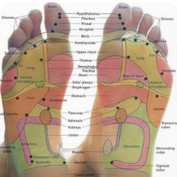 Reflexology