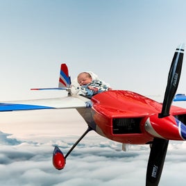 sebastian-fly-standard.jpg