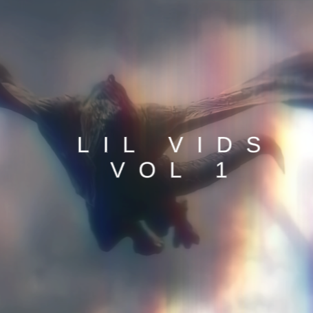 LIL VIDS VOL 1 PACK