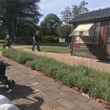 IMG_4243.jpeg