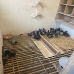IMG_1782.jpeg