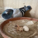 IMG_6444.jpeg