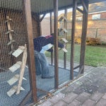 IMG_5846.jpeg