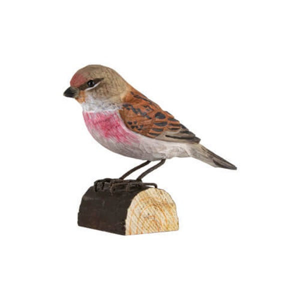 DecoBird - Kneu - Wildlife Garden