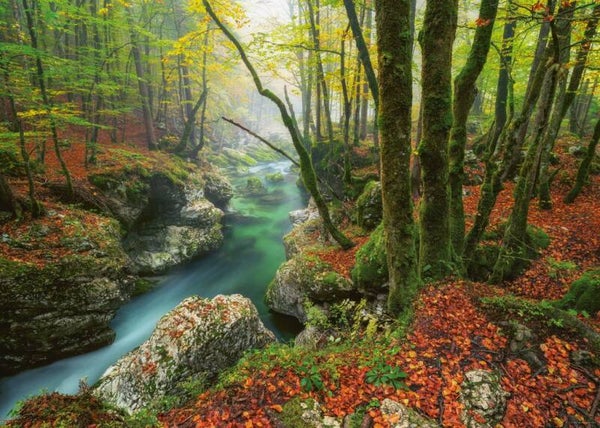 Heye Puzzel - Little Brook 1000