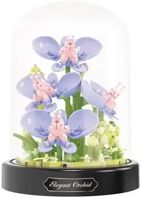 Balody - Orchids