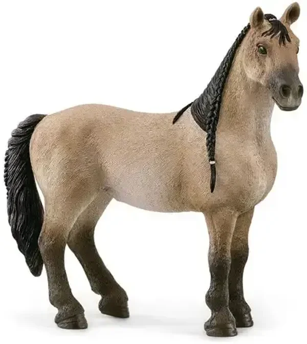 Schleich - Horse Club - Criollo Definitivo Mare