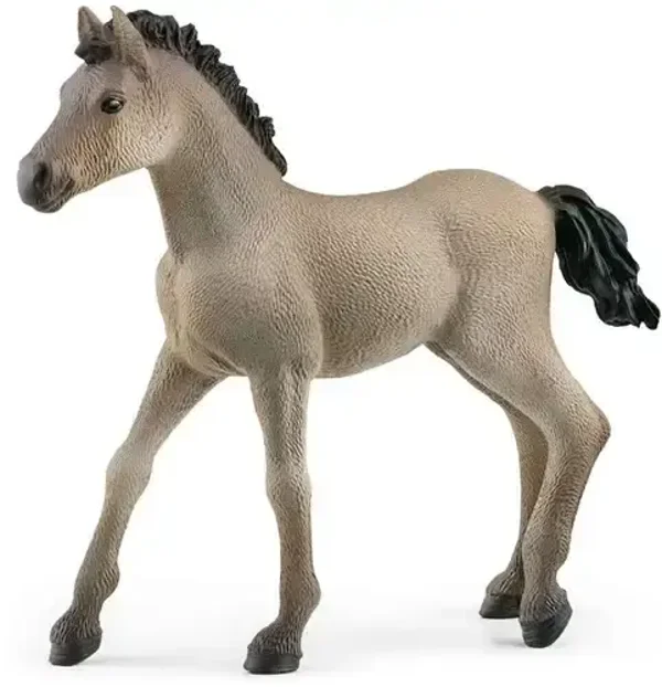 Schleich - Horse Club - Criollo Definitivo Veulen