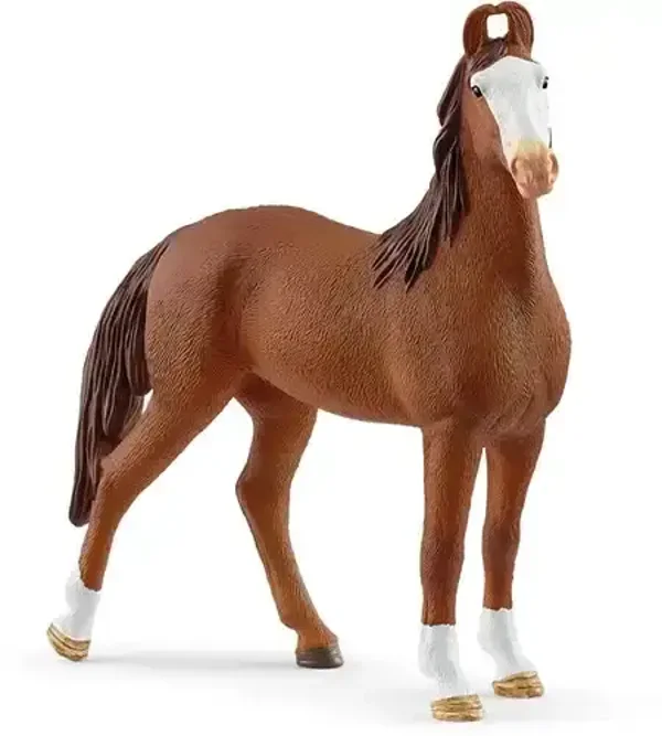 Schleich - Horse Club - Marwari Mare