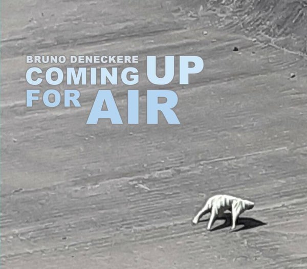 Coming Up For Air - Bruno Deneckere