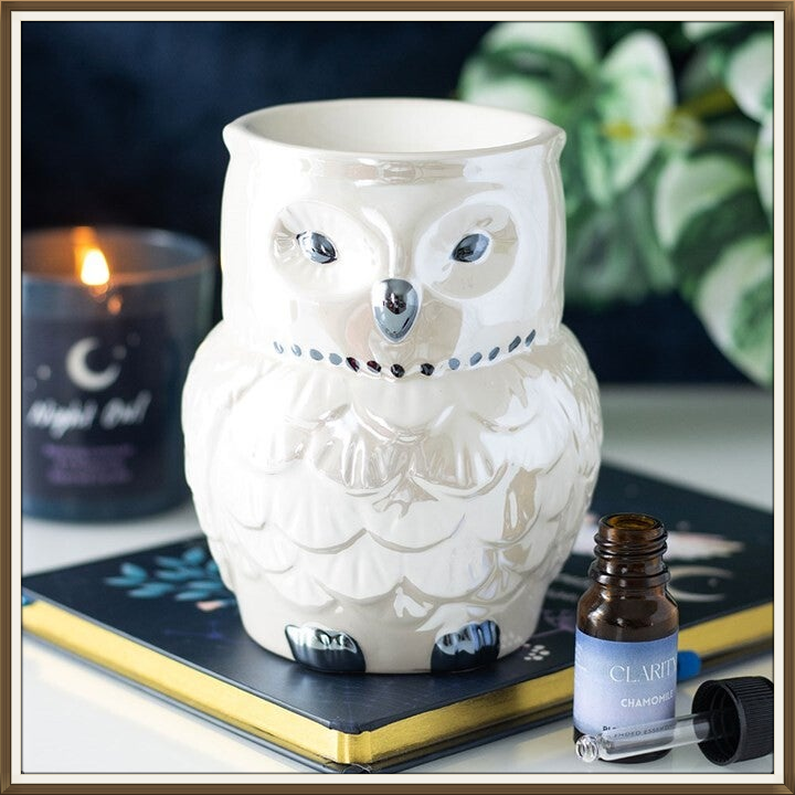 Brule-parfum Chouette irisée