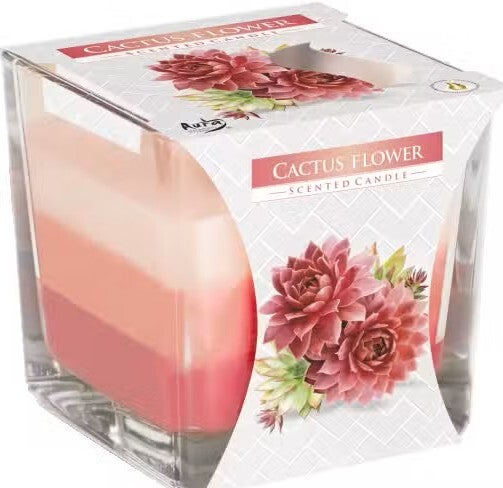 Bougies Arc-en-Ciel en Verre - Fleur de cactus