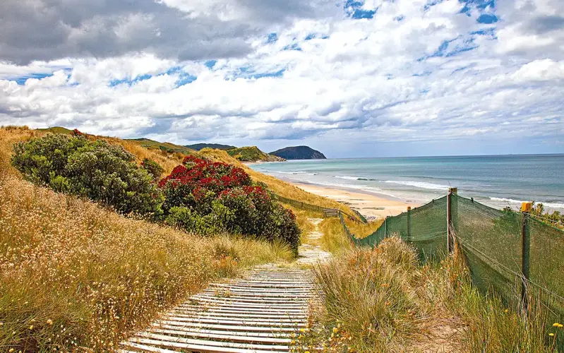 wainui-beach-005-standard-8xmtw8.webp