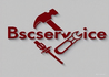 BSC SERVICES LLC