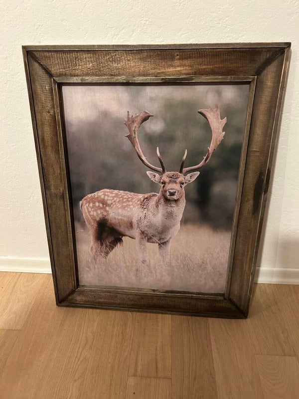 Schilderij met edelhert met houten lijst