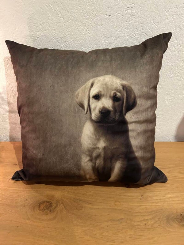 Labrador kussen erg leuk voor bij u op de bank