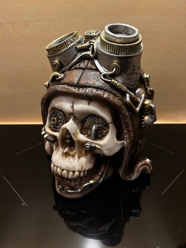 Steampunk skull met helm beeld