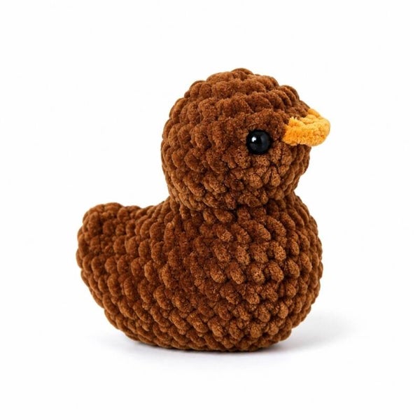 Canard