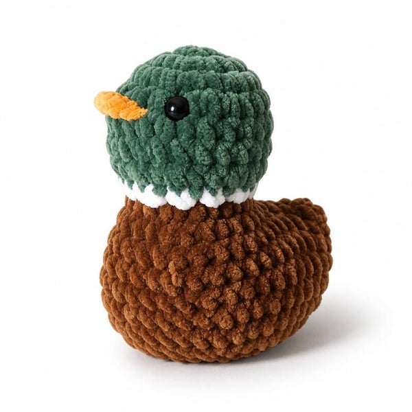 canard colvert