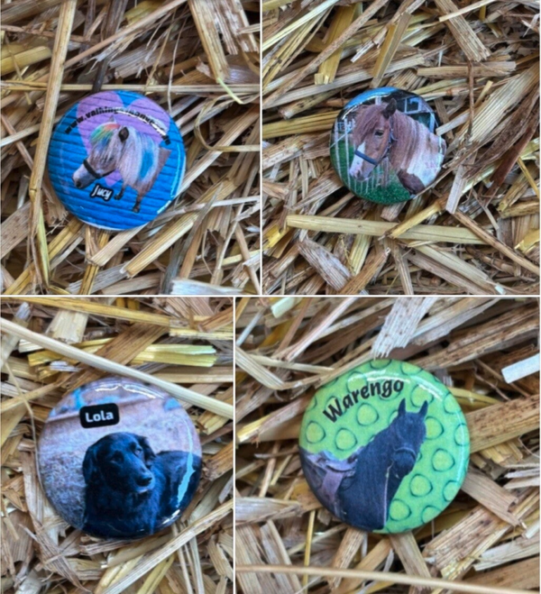 Buttons