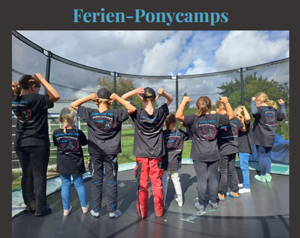 Herbst-Pony-Camp
