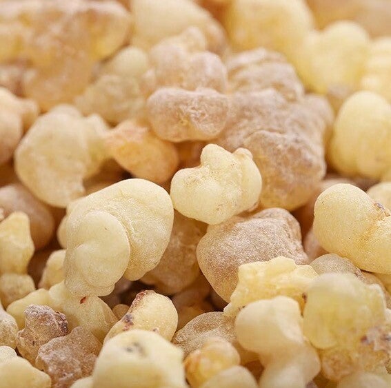 Encens Oliban Mâle – Larmes d’Oliban (10g)