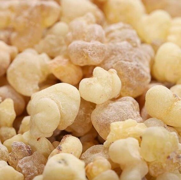 Encens Oliban Mâle – Larmes d’Oliban (10g)