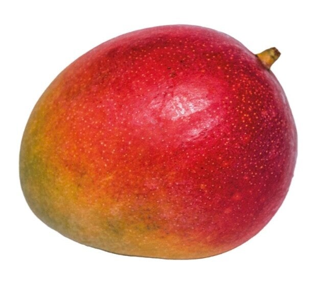 Mango 1 Stück
