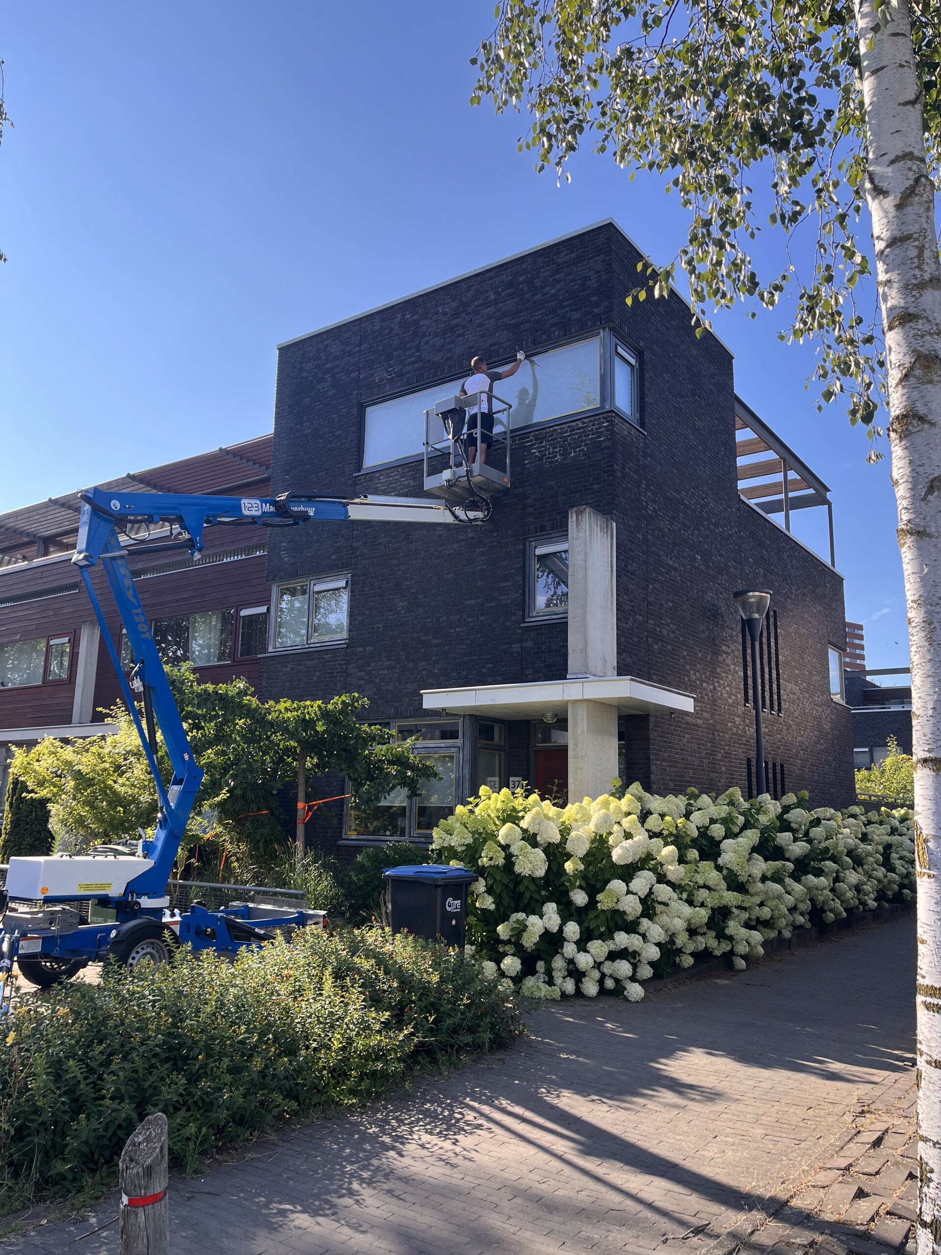 Prachtig luxe behang op een accentmuur behangen door vakkundige schilder