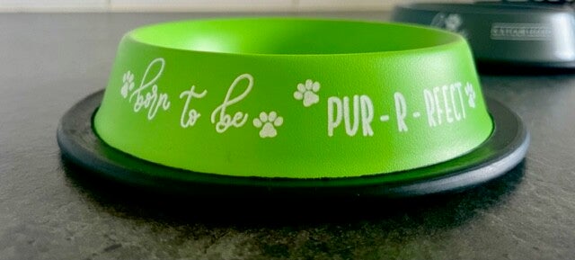 Stalen voerbakje - Born to be pur-r-rfect!