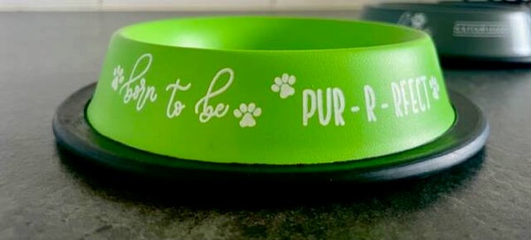 Stalen voerbakje - Born to be pur-r-rfect!