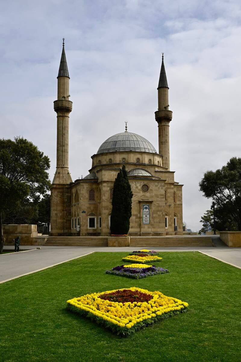 _bak0029-standard-ogfulk.jpg
