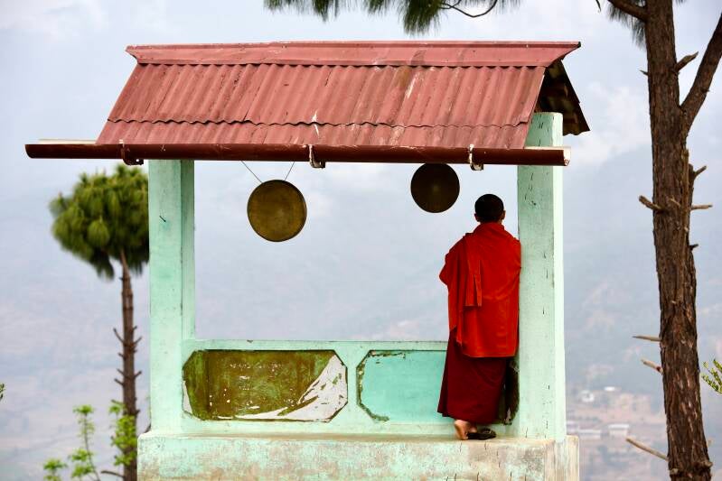 _bhu2879-standard-demuiy.jpg