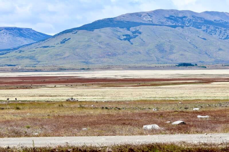 Patagonia