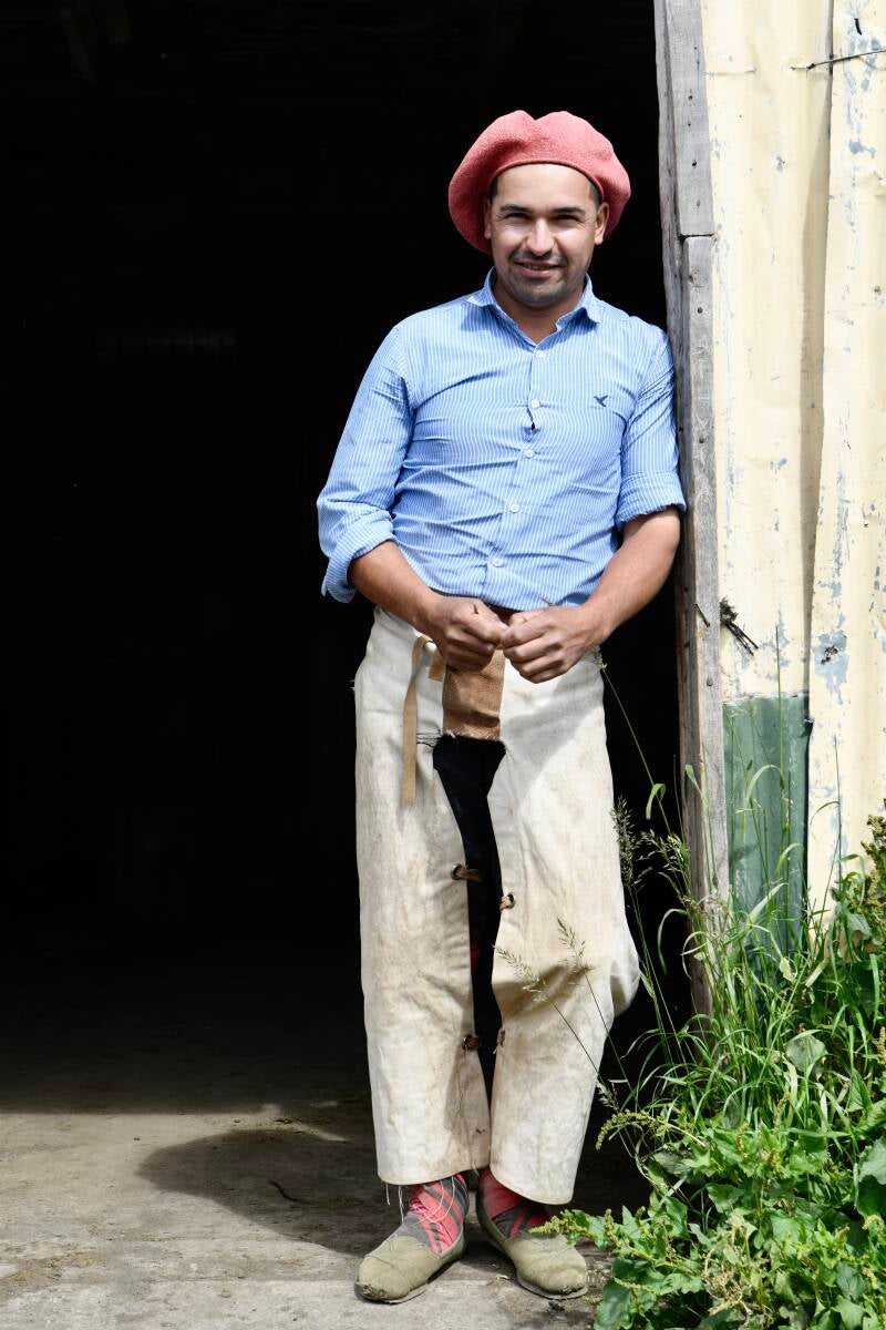 Gaucho