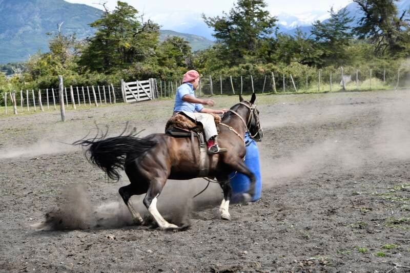 Gaucho
