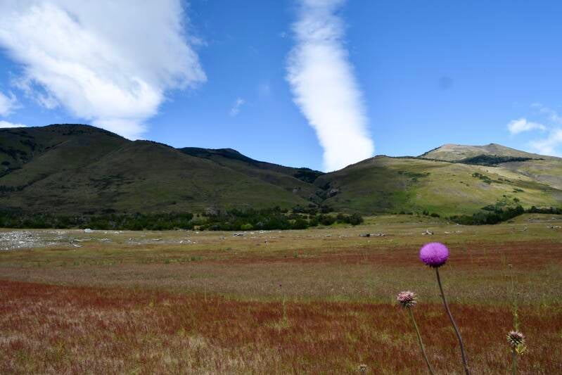Patagonia