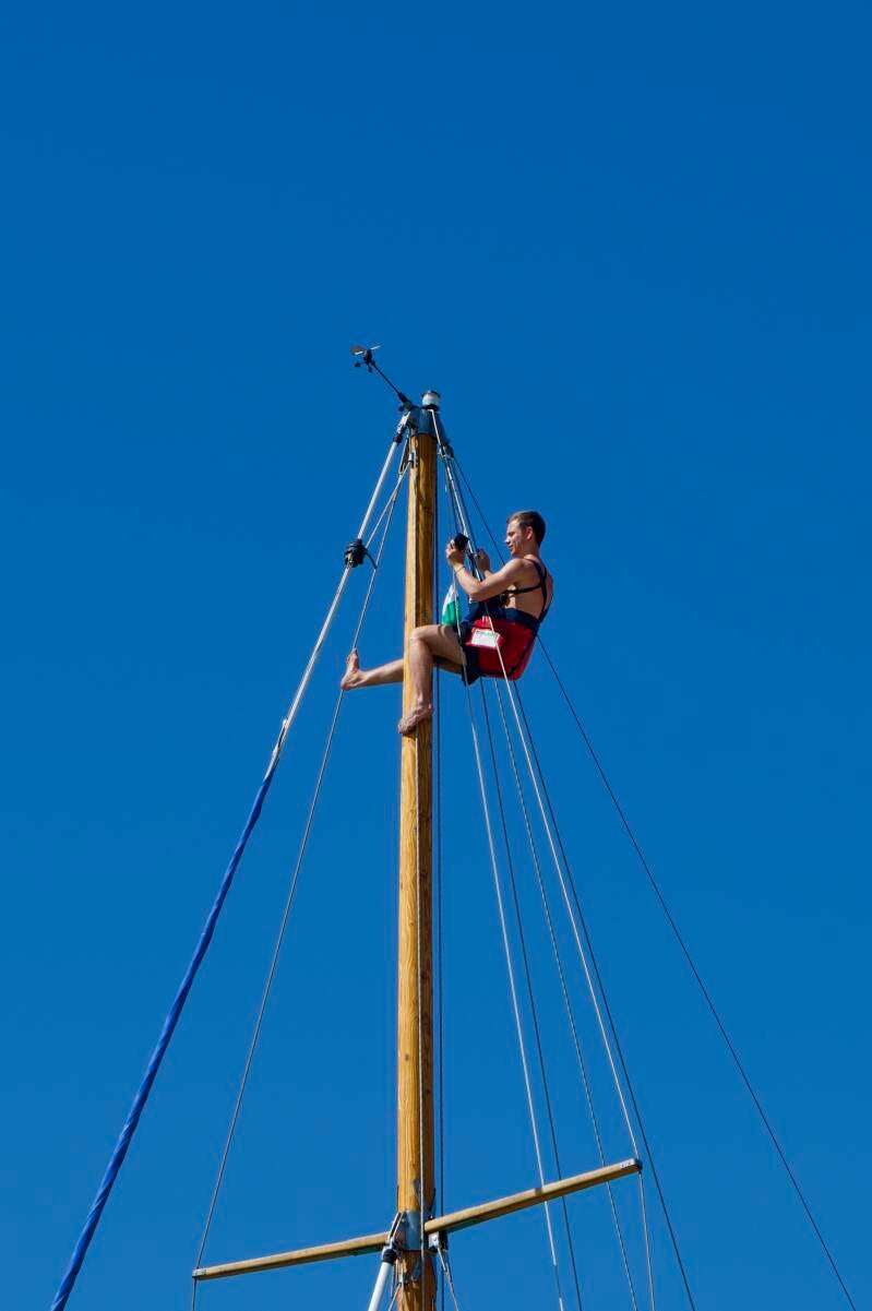 _ven0069-standard.jpg