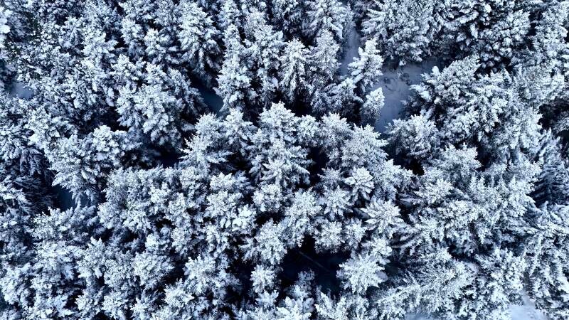 dji_20260212133814_0101_d-standard-x9jmit.jpg