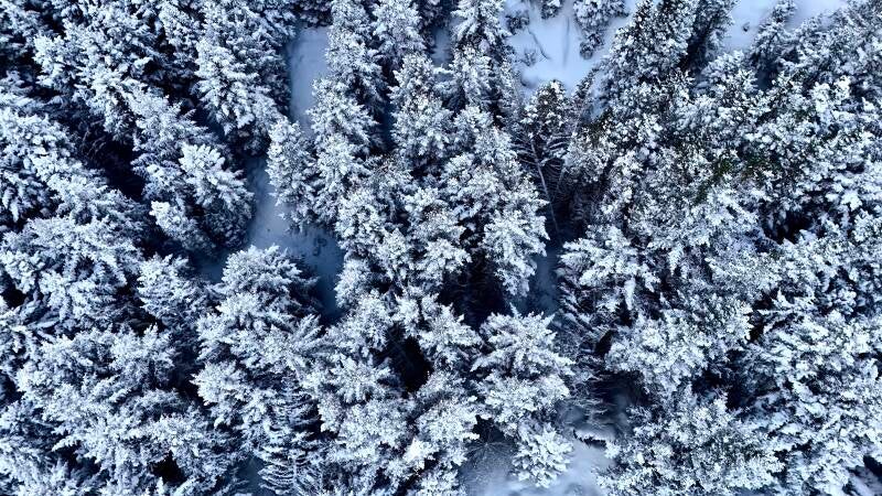 dji_20260212134003_0104_d-standard-e73dd4.jpg