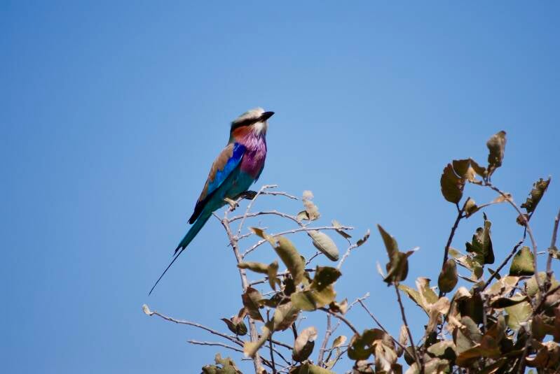 dsc_0178-standard-dzzuk7.jpg